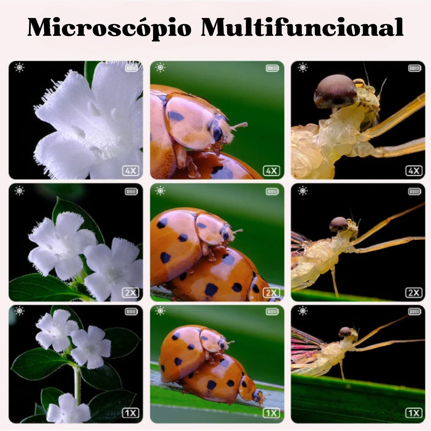 Microscópio Infantil Portátil
